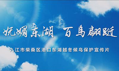 妩媚东湖 百鸟翩跹